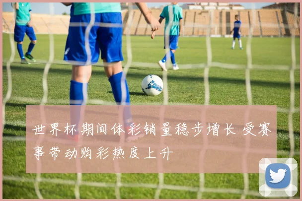 世界杯期间体彩销量稳步增长 受赛事带动购彩热度上升