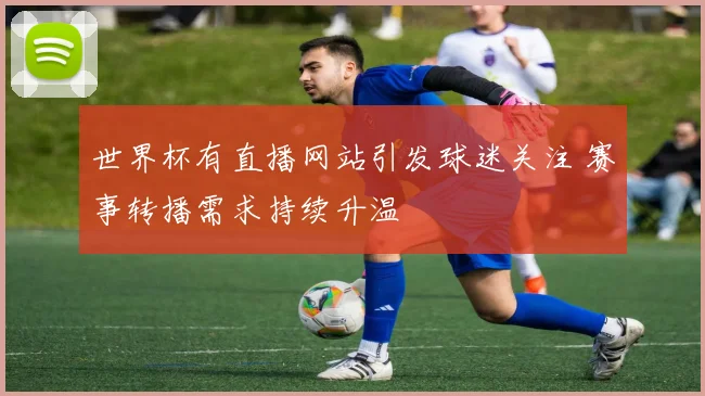 世界杯有直播网站引发球迷关注 赛事转播需求持续升温