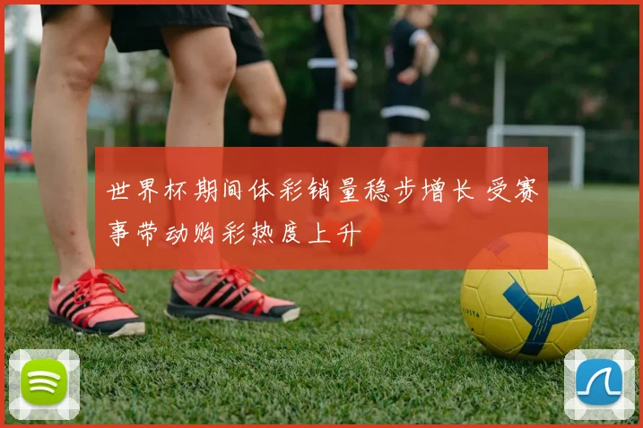 世界杯期间体彩销量稳步增长 受赛事带动购彩热度上升