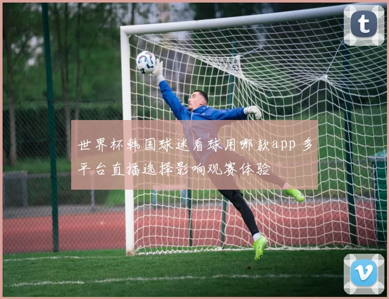 世界杯韩国球迷看球用哪款app 多平台直播选择影响观赛体验