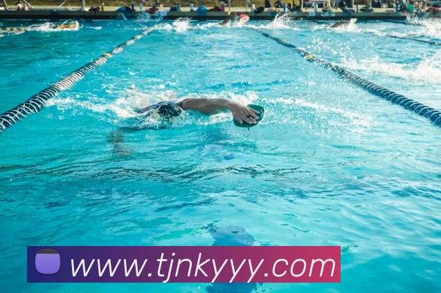 pg国际网站平台生态图